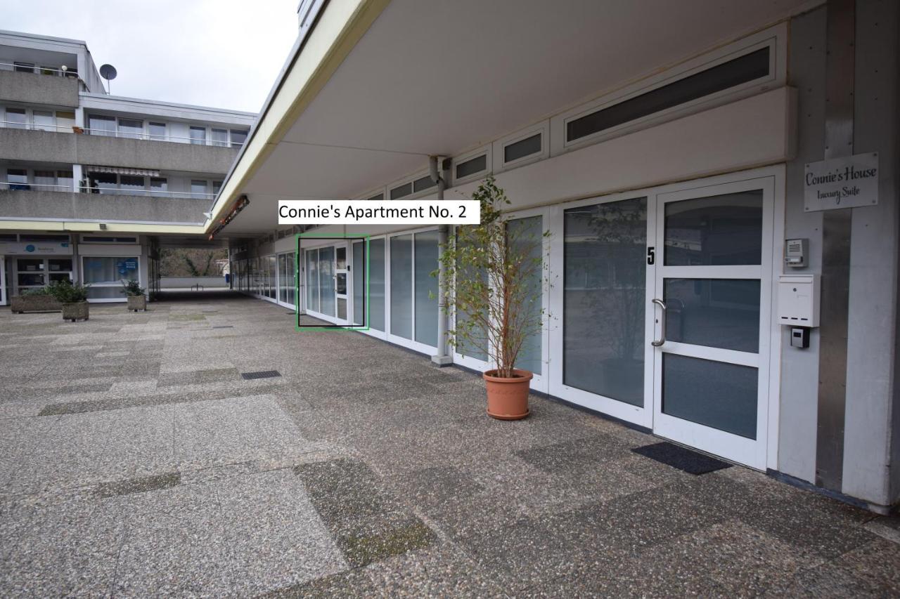 Connie'S Apartments ハイデルベルク エクステリア 写真